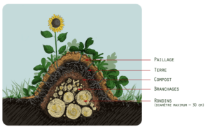 Schéma d'une butte de permaculture